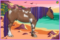 Horse Color:Painted Red Roan Tobiano 