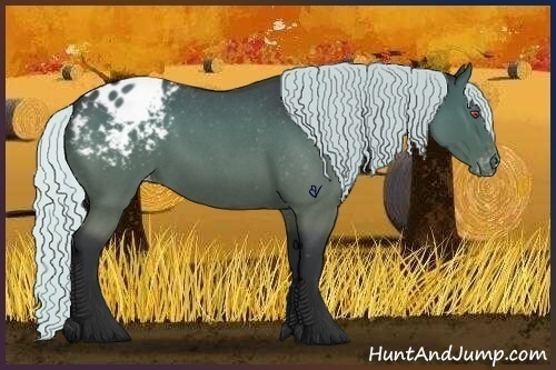Horse Color:Silver Blue Chinchilla Roan Varnish 