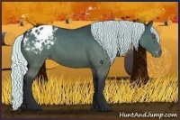 Horse Color:Silver Blue Chinchilla Roan Varnish