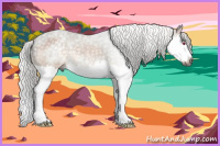 Horse Color:Gray Silver Blue Chinchilla Roan Splash 