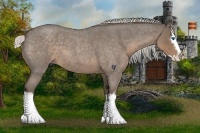 Horse Color:White Spotted Silver Smoky Blue Roan Splash