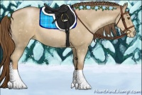 Horse Color:Liver Chestnut Pearl