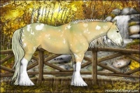 Horse Color:Watercolor White Spotted Silver Brown Dun Tobiano 