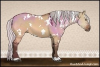 Horse Color:White Spotted Silver Bay Dun