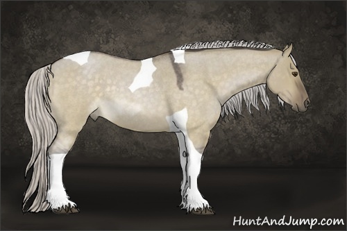 Horse Color:Silver Brown Roan Dun Tobiano Rabicano
