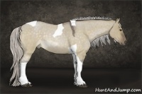 Horse Color:Silver Brown Roan Dun Tobiano Rabicano 