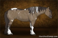 Horse Color:White Spotted Liver Red Dun Tobiano 