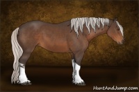 Horse Color:Silver Brown Tobiano 