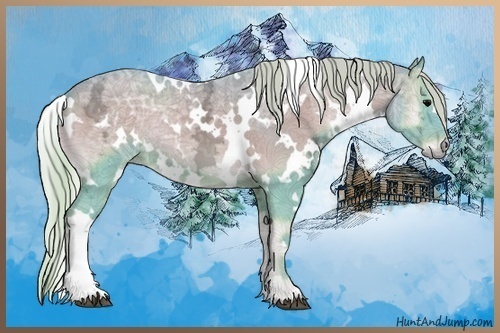 Horse Color:Watercolor White Spotted Silver Blue Onyx Ice