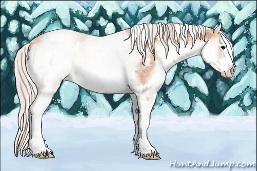 Horse Color:White Spotted Silver Brown Onyx 