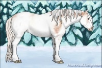 Horse Color:White Spotted Silver Brown Onyx 