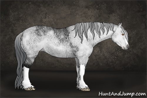 Horse Color:Brown Chinchilla Ice Onyx