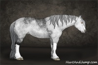 Horse Color:Brown Chinchilla Ice Onyx
