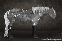 Horse Color:White Spotted Silver Grullo Chinchilla Ice