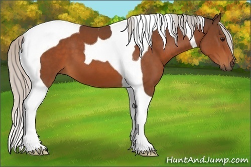 Horse Color:Silver Bay Tobiano