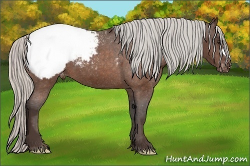 Horse Color:Silver Bay Frame Snowcap