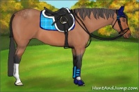 Horse Color:Bay Roan 