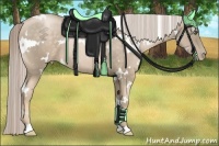 Horse Color:White Spotted Chocolate Palomino Pearl 