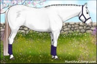 Horse Color:Blue Roan Varnish 