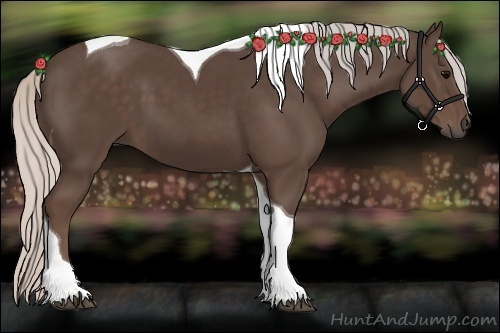 Horse Color:Silver Black Tobiano