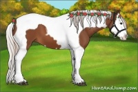 Horse Color:Silver Bay Splash Tobiano 