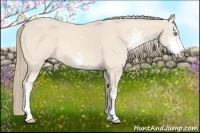 Horse Color:Perlino Sabino
