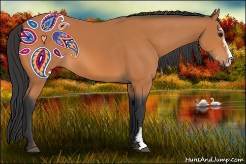 Horse Color:Bay Sabino