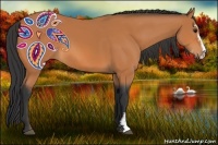 Horse Color:Bay Sabino 
