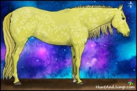 Horse Color:Watercolor Chestnut Ice