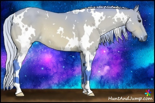Horse Color:Watercolor White Spotted Silver Bay Dun 
