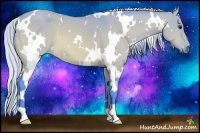 Horse Color:Watercolor White Spotted Silver Bay Dun 