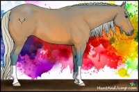 Horse Color:Watercolor Silver Brown Roan