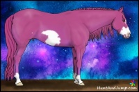 Horse Color:Watercolor Chestnut Frame 