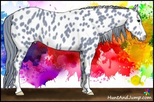 Horse Color:Watercolor Black Sabino Leopard Rabicano 