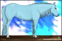Horse Color:Watercolor Smoky Black 