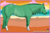 Horse Color:Watercolor Black Rabicano 