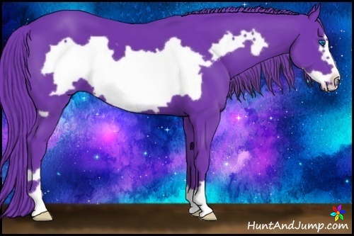 Horse Color:Watercolor Black Frame