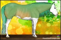 Horse Color:Watercolor Bay Splash Rabicano 