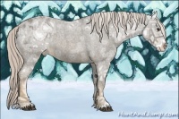 Horse Color:Chocolate Palomino Ice Roan Sabino Varnish 