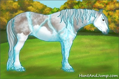 Horse Color:Gray Thunderstruck Chestnut Splash Frame