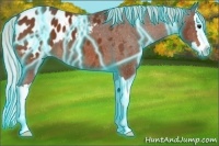 Horse Color:Thunderstruck Silver Bay Sabino Splash Appaloosa 