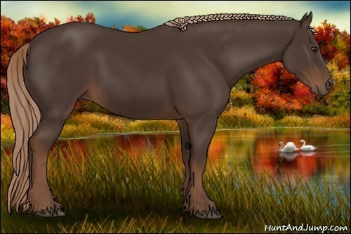 Horse Color:Liver Chestnut Sabino Rabicano