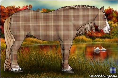Horse Color:Plaid  Chestnut Sabino 