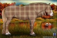 Horse Color:Plaid Chestnut Sabino