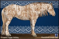 Horse Color:Plaid  Chestnut Sabino Splash Appaloosa  and Plaid  Chestnut 