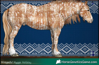 Horse Color:Plaid  Chestnut Sabino Splash Appaloosa  and Plaid  Chestnut 