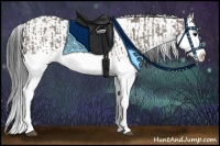 Horse Color:Grullo Sabino Splash  and Bay Dun Sabino Splash 