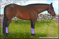Horse Color:Bay Frame