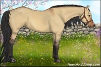Horse Color:Bay Dun