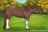 Horse Color:Red Roan Tobiano 